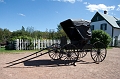 PEI036
