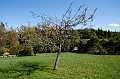 PEI079