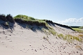 PEI101
