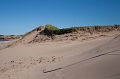PEI102