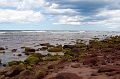 PEI217