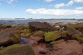 PEI220