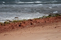 PEI221