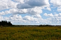 PEI224