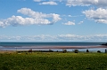 PEI228