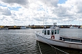 PEI239