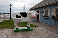 Charlottetown219