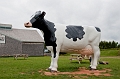 Charlottetown297