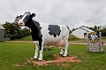 Charlottetown298
