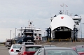 PEI309