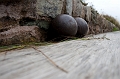 Louisbourg029