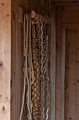 Louisbourg063