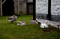 Louisbourg076