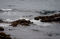 Louisbourg111