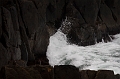 Louisbourg124