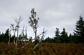 CabotTrail106
