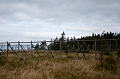 CabotTrail108
