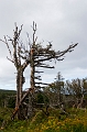 CabotTrail109