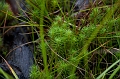 CabotTrail114