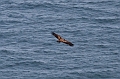 CabotTrail136