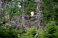 CabotTrail142