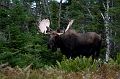 CabotTrail143