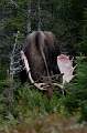 CabotTrail144