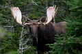 CabotTrail145