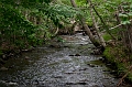 CabotTrail156