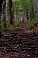 CabotTrail159