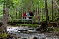 CabotTrail166