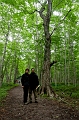 CabotTrail189