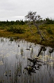 CabotTrail212