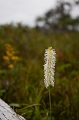 CabotTrail213