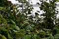 BayOfFundy006