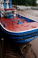 BayOfFundy014