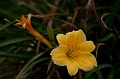 BayOfFundy021