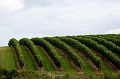 BayOfFundy048