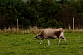 BayOfFundy056