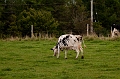 BayOfFundy057