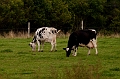 BayOfFundy060