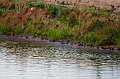 BayOfFundy062