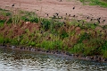 BayOfFundy063
