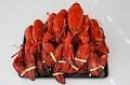 Maritimes_hhwc041
