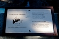 EmeraldLake007