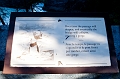 EmeraldLake011