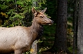 EmeraldLake088