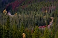 EmeraldLake096