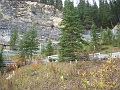 EmeraldLake_ap040