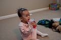 ChowFamilyShoot004